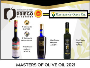 Concurso Internacional Masters of Olive Oil - DOP Priego de Córdoba