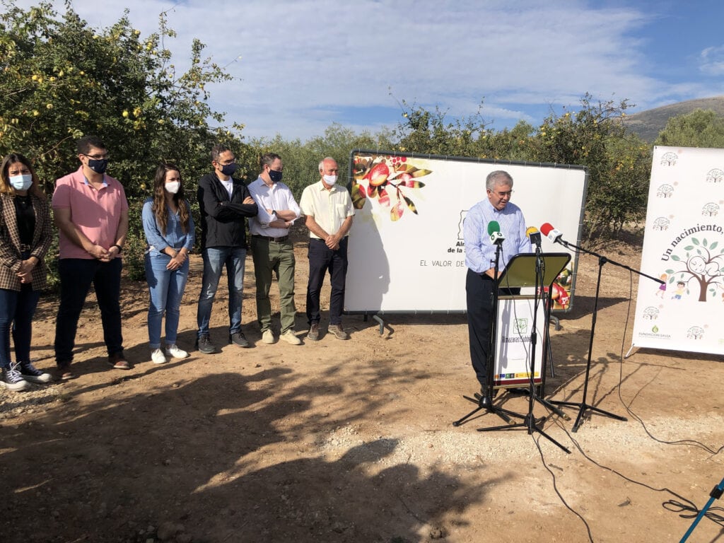 ALMAZARAS DE LA SUBBÉTICA APUESTA POR LA PROTECCIÓN DE LA VARIEDAD AUTÓCTONA DE LA D.O.P. PRIEGO DE CÓRDOBA2