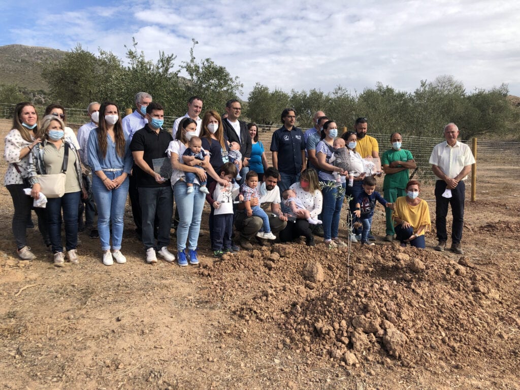 ALMAZARAS DE LA SUBBÉTICA APUESTA POR LA PROTECCIÓN DE LA VARIEDAD AUTÓCTONA DE LA D.O.P. PRIEGO DE CÓRDOBA