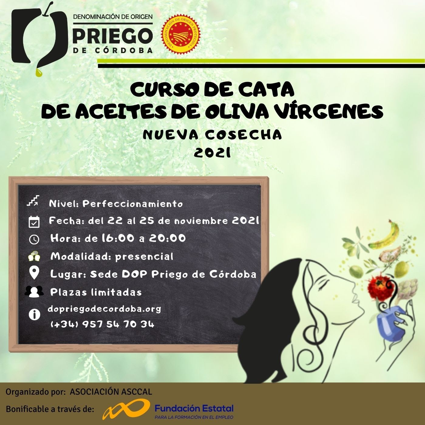 Curso de Cata de Aceites de Oliva Virgen