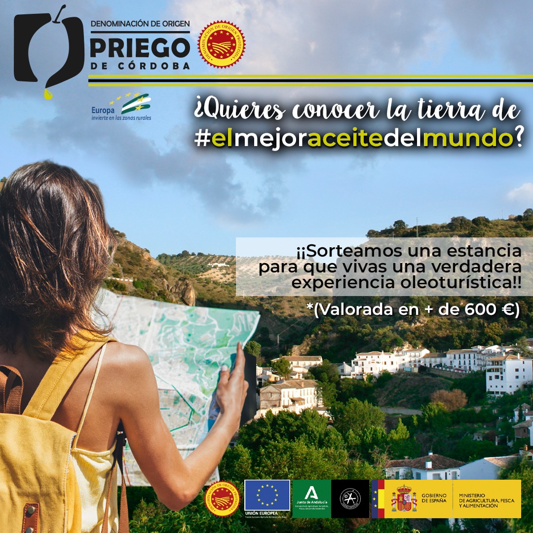 Sorteo - DOP Priego de Córdoba5