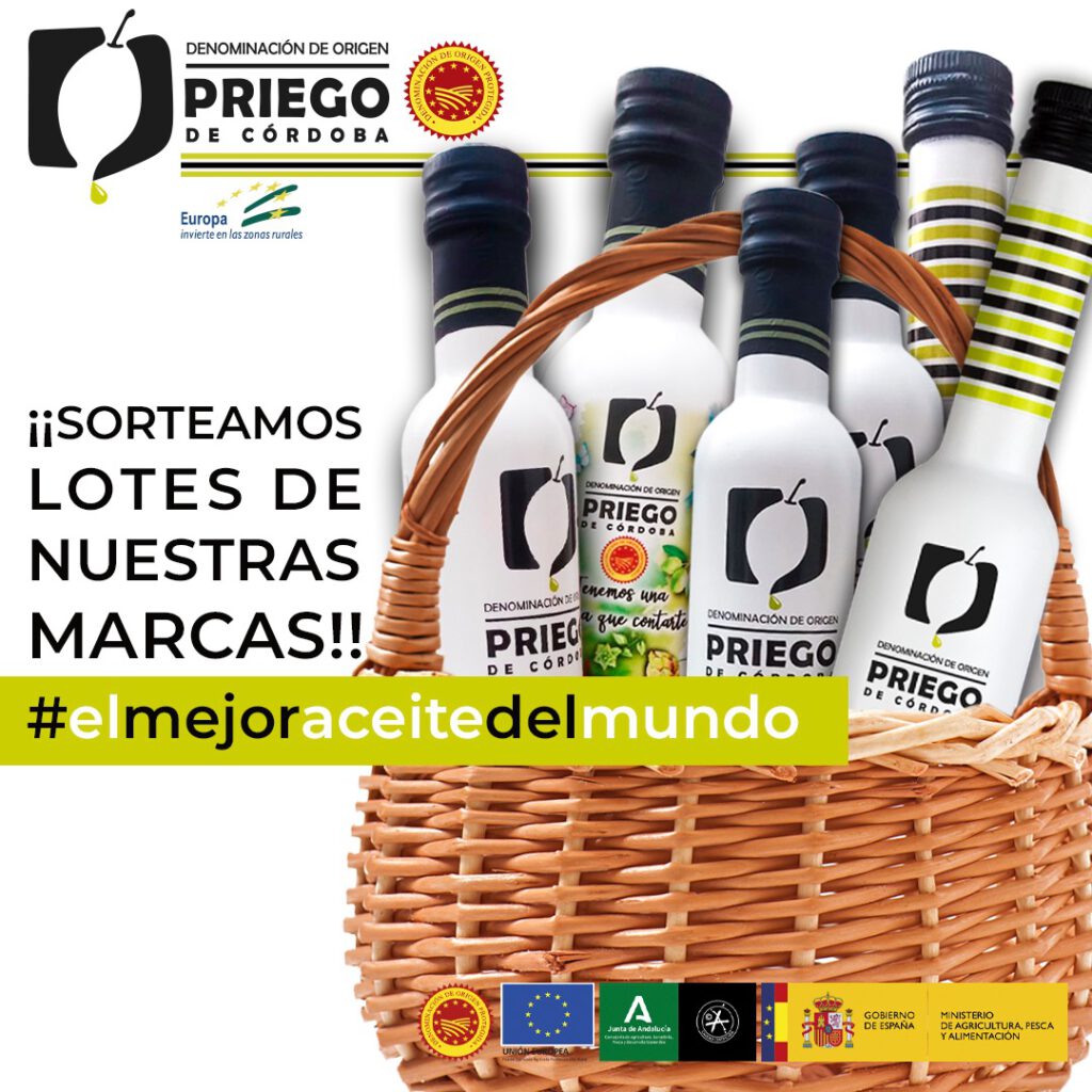 Sorteo - DOP Priego de Córdoba5