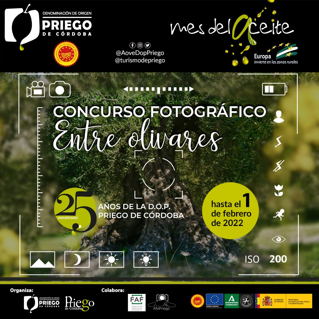 Concurso-Fotografico-25-Anos-de-la-DOP-Priego-de-Cordoba