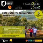 Ruta Senderista por Carcabuey "Entre Olivares"