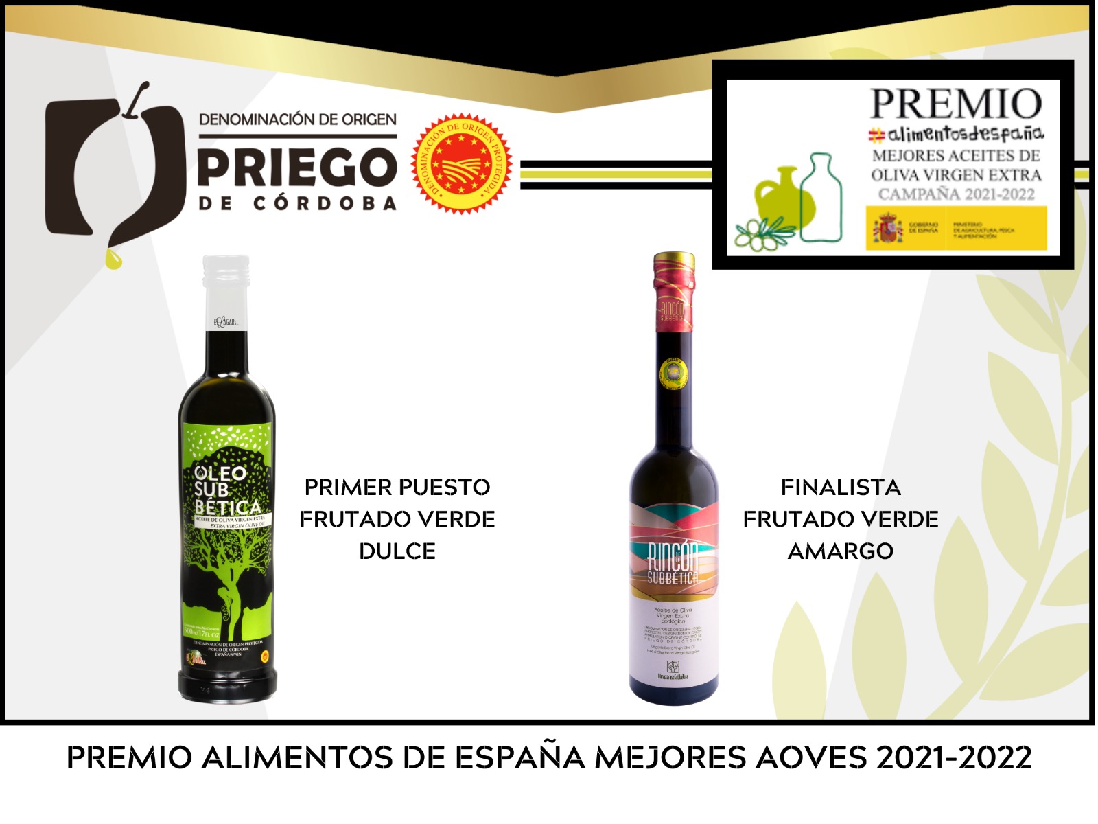 La Denominación de Origen Priego de Córdoba Reconocida como Mejor Aceite de Oliva Virgen Extra Español