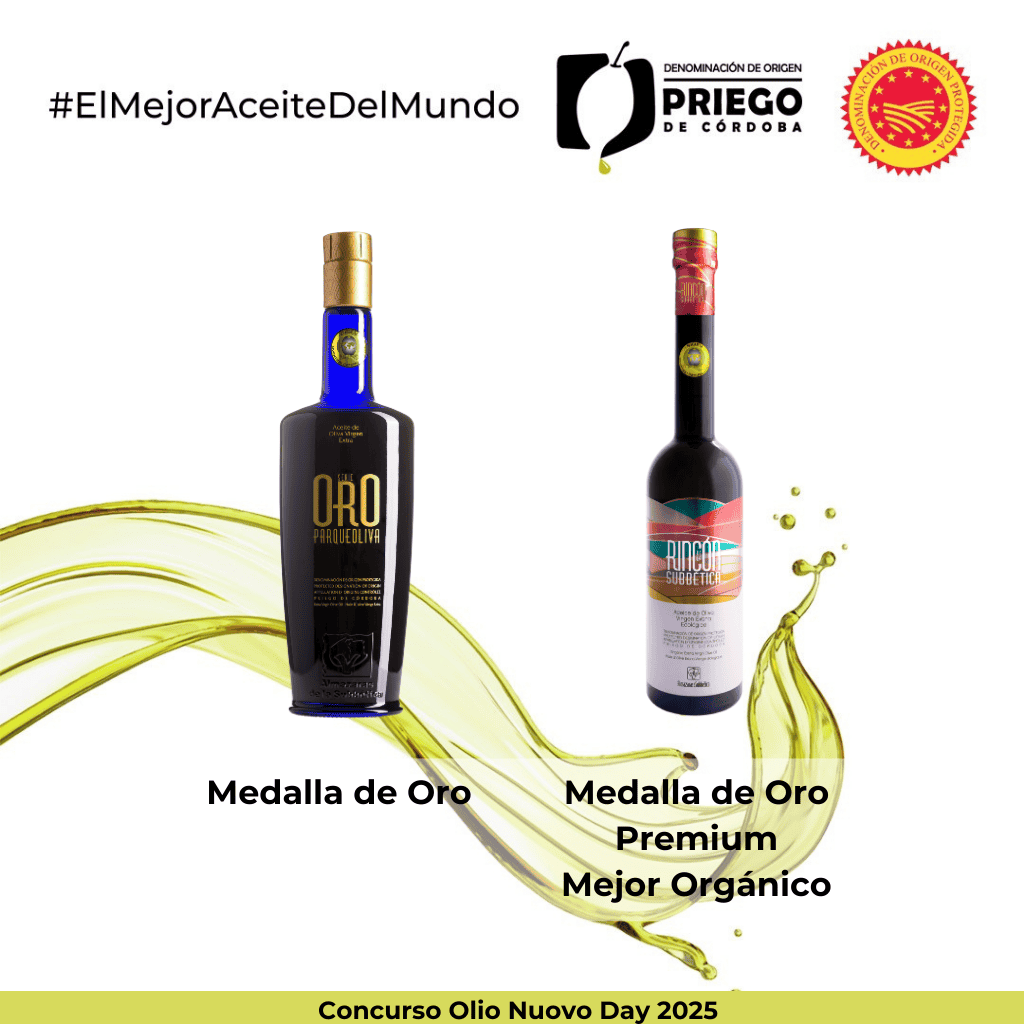Concurso Olio Nuovo Day 2025