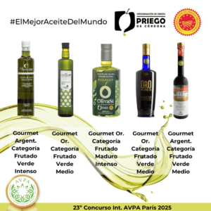 23º Concurso Int. AVPA París 2025