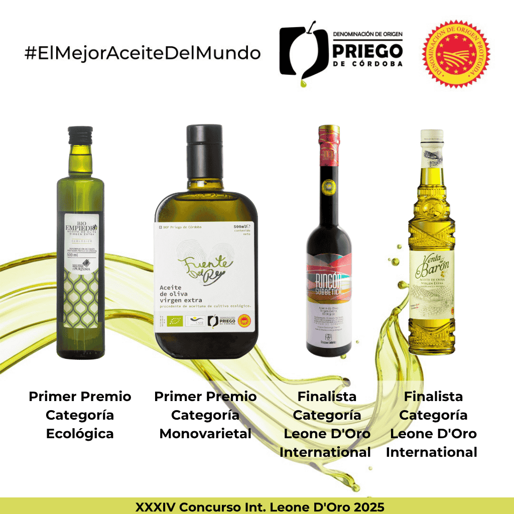 CONCURSO INTERNACIONAL LEONE D’ORO