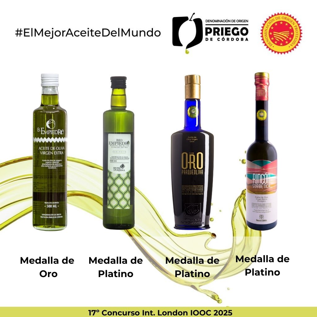 17º Concurso Int. London IOOC 2025