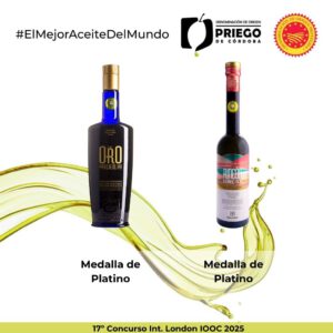 17º Concurso Int. London IOOC 2025