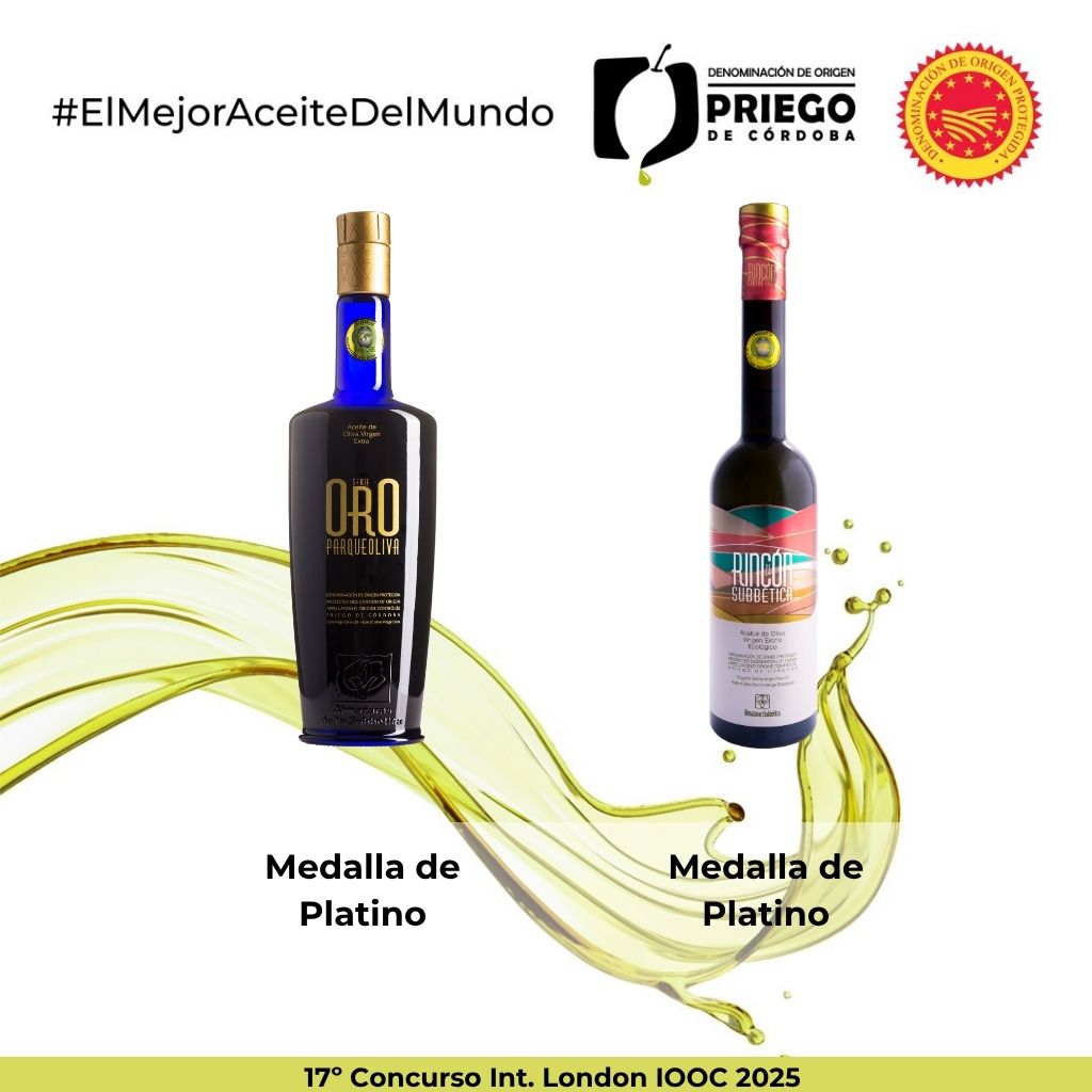 17º Concurso Int. London IOOC 2025