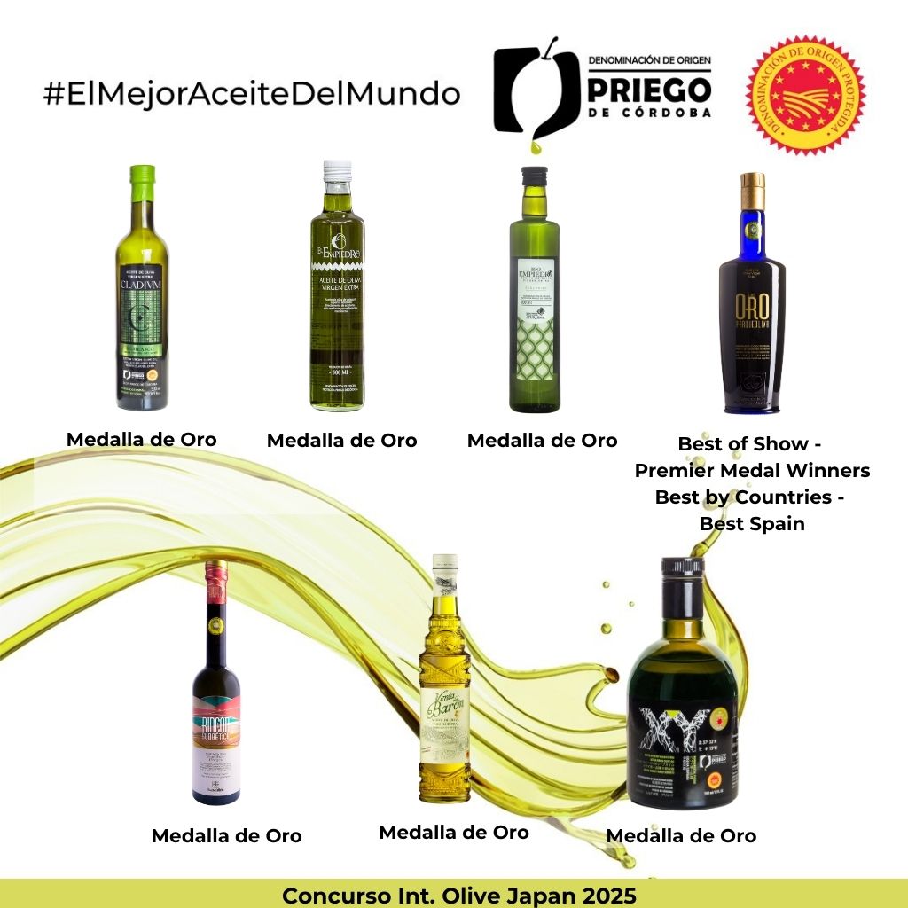 Concurso Int. Olive Japan 2025