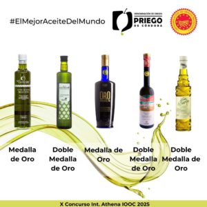 X Concurso Int. Athena IOOC 2025