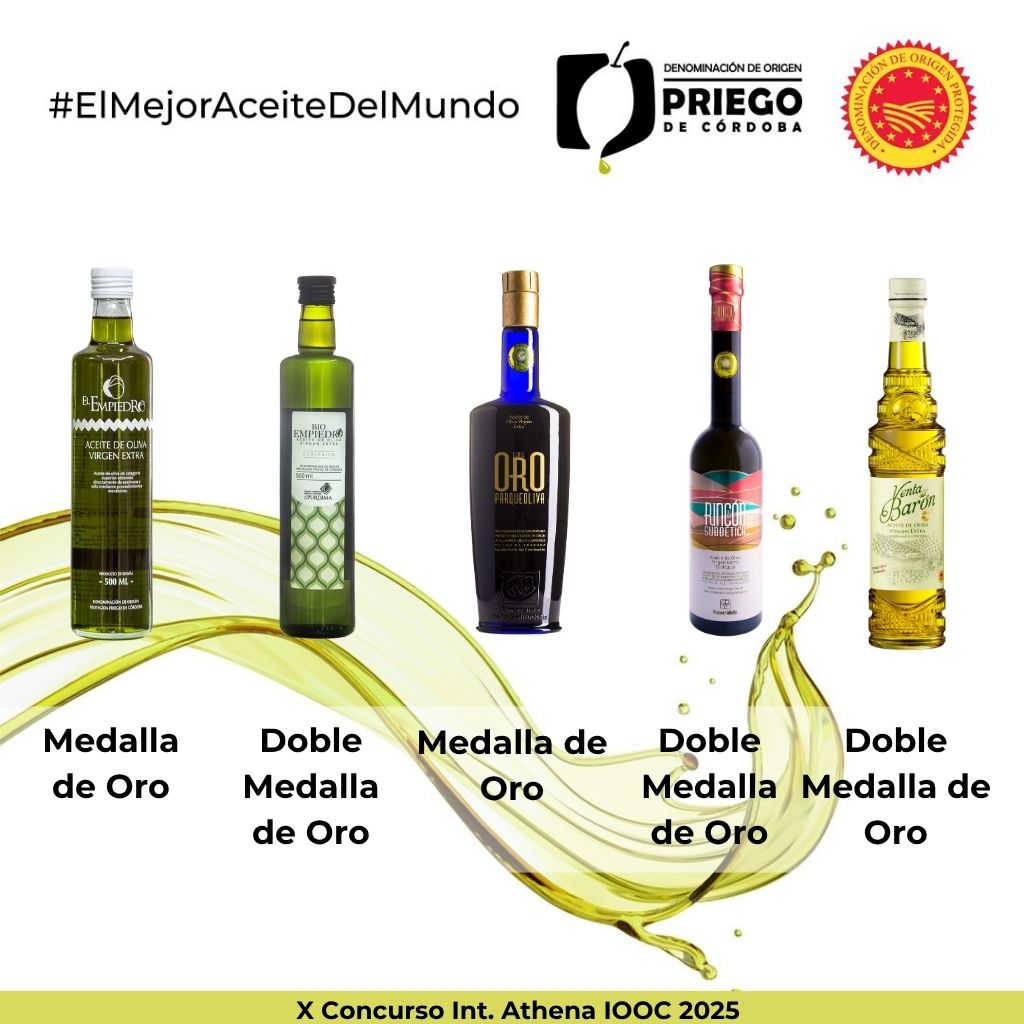 X Concurso Int. Athena IOOC 2025