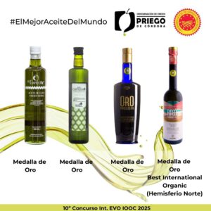 10º Concurso Int. EVO IOOC 2025