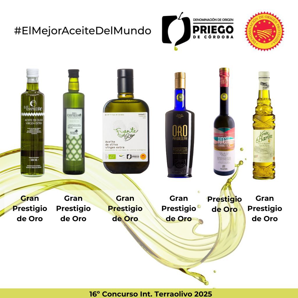 16º Concurso Int. Terraolivo 2025