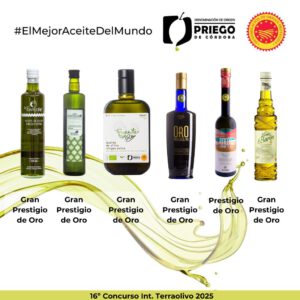 16º Concurso Int. Terraolivo 2025