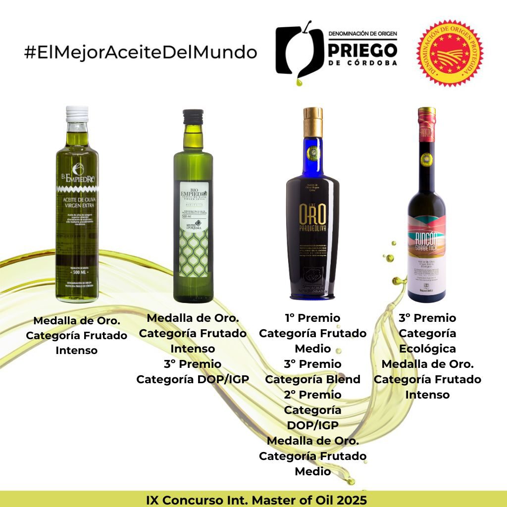 IX Concurso Int. Master of Oil 2025