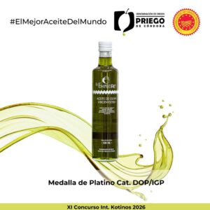 XI Concurso Int. Kotinos 2026