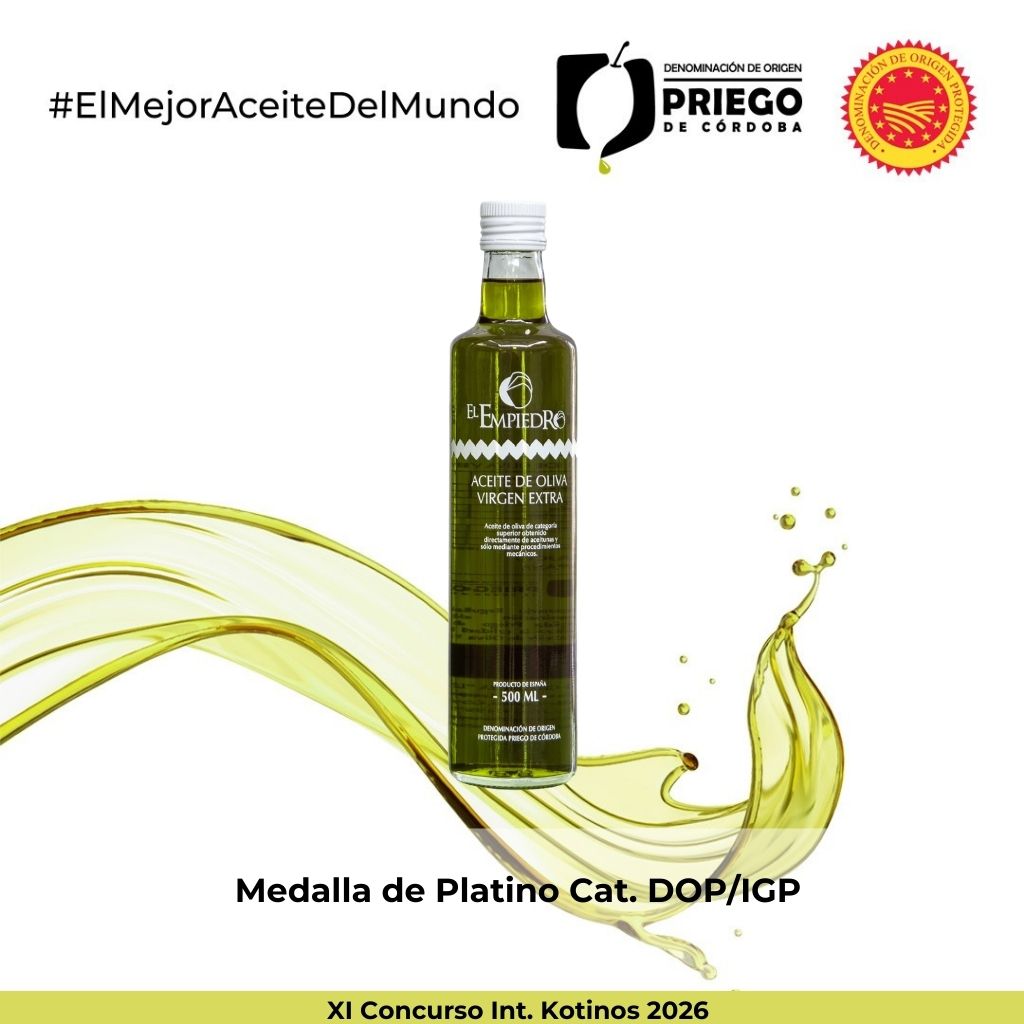 XI Concurso Int. Kotinos 2026