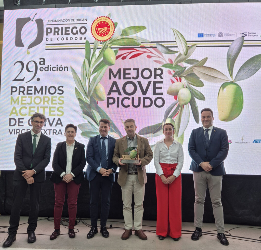 PREMIO MEJOR LOTE DE AOVE DE LA VARIEDAD PICUDA CAMPAÑA 2025/2026 - SCA. NTRA. SRA. DEL CARMEN DE ALMEDINILLA