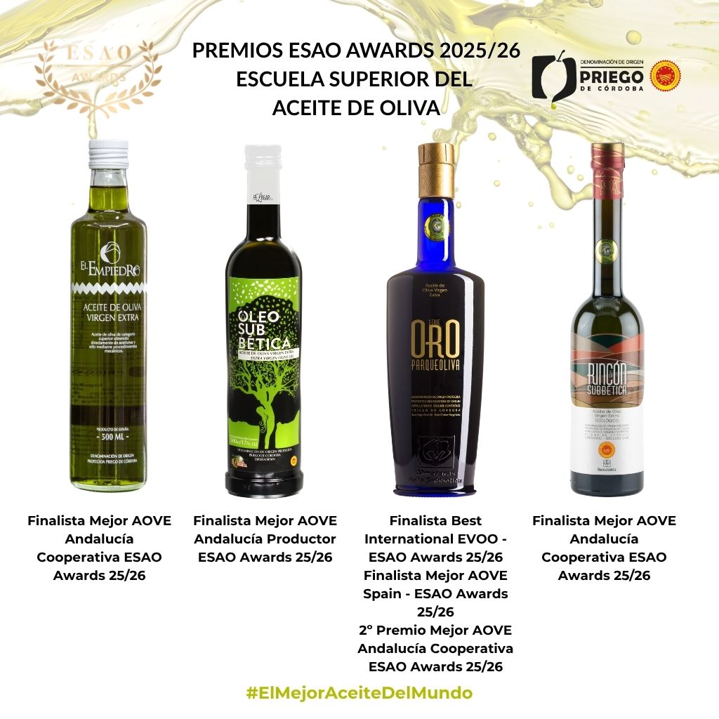 Premios ESAO Awards 202526 Escuela Superior del Aceite de Oliva