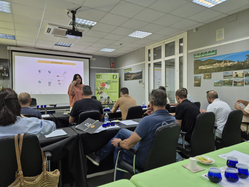 Profundización en el análisis sensorial y catas de aceite