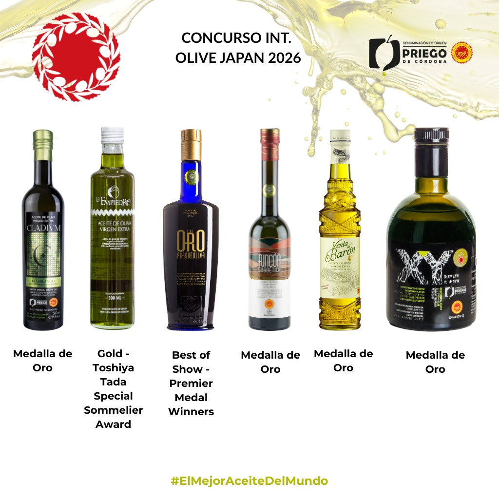 Olive Japan 2026