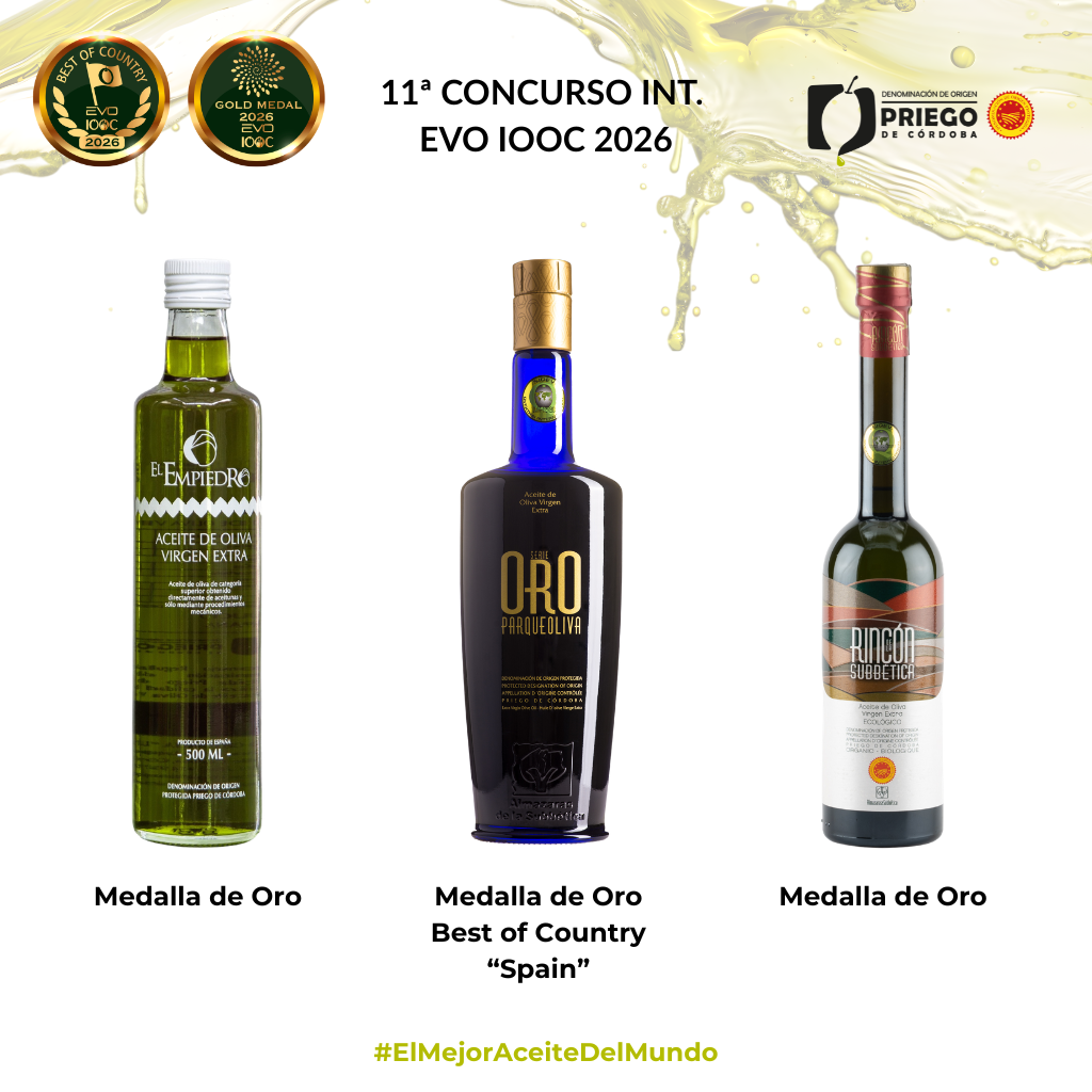 11ª Concurso Int. EVO IOOC 2026