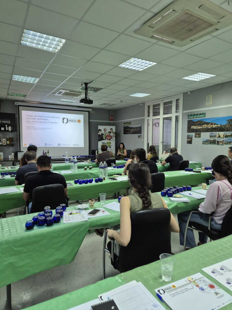 CURSO DE ANÁLISIS SENSORIAL DE ACEITES DE OLIVA VÍRGENES