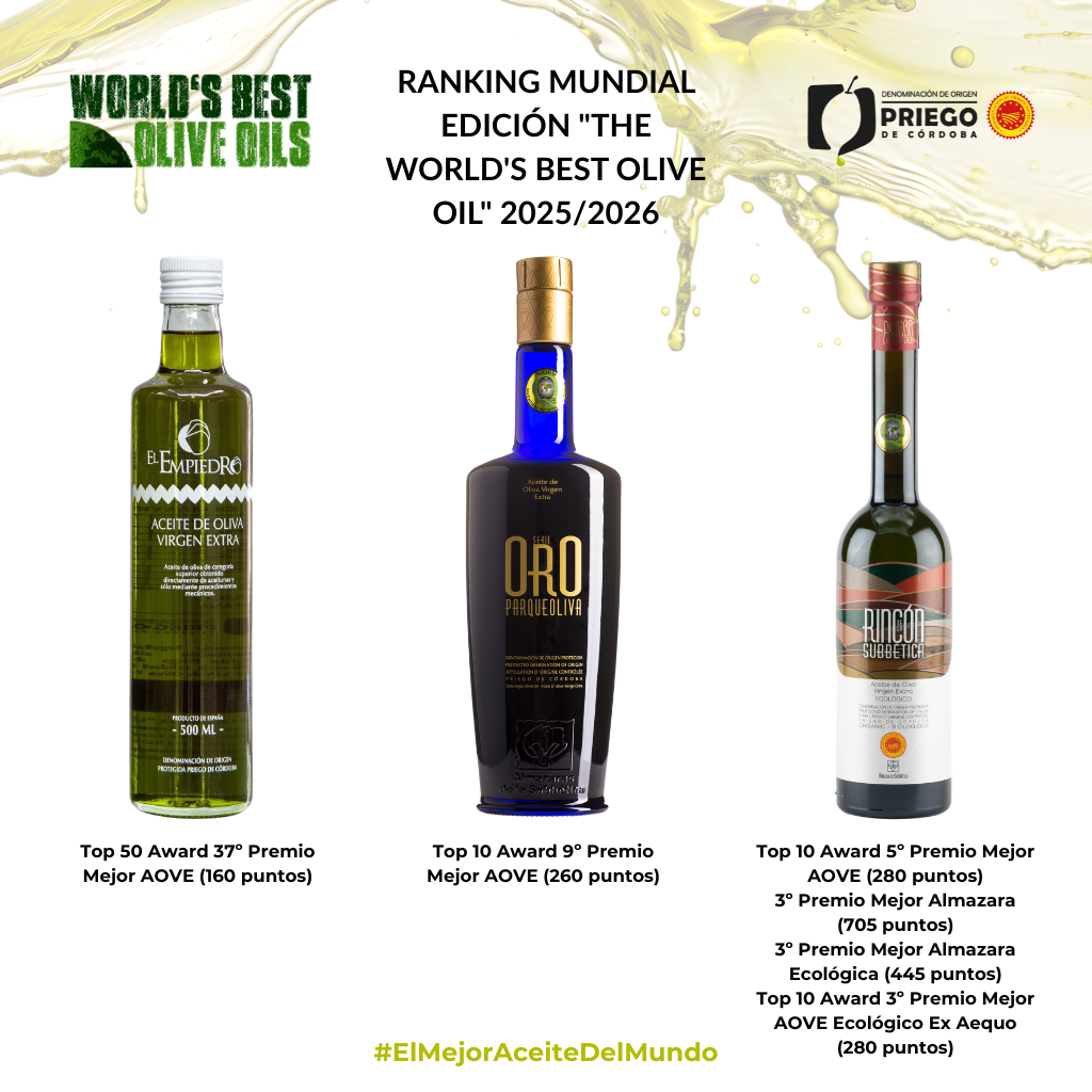 Ranking Mundial Edición The World's Best Olive Oil 20252026
