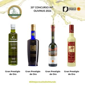 20º Concurso Int. Olivinus 2026