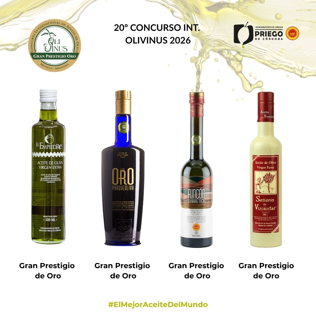 20º Concurso Int. Olivinus 2026